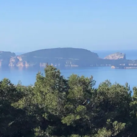 Lu Palau De Antoni ألغيرو